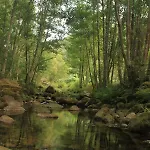 Douro Senses - Nature House * 친파에스