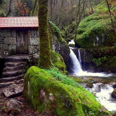 Douro Senses - Nature House