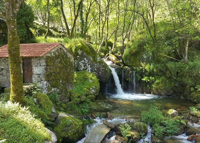 Douro Senses - Nature House