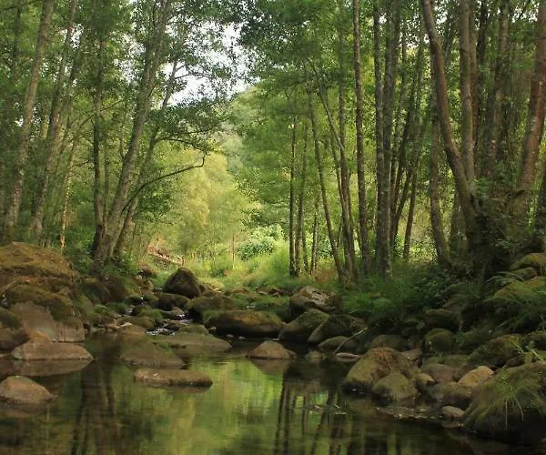 Douro Senses - Nature House * Синфайнш